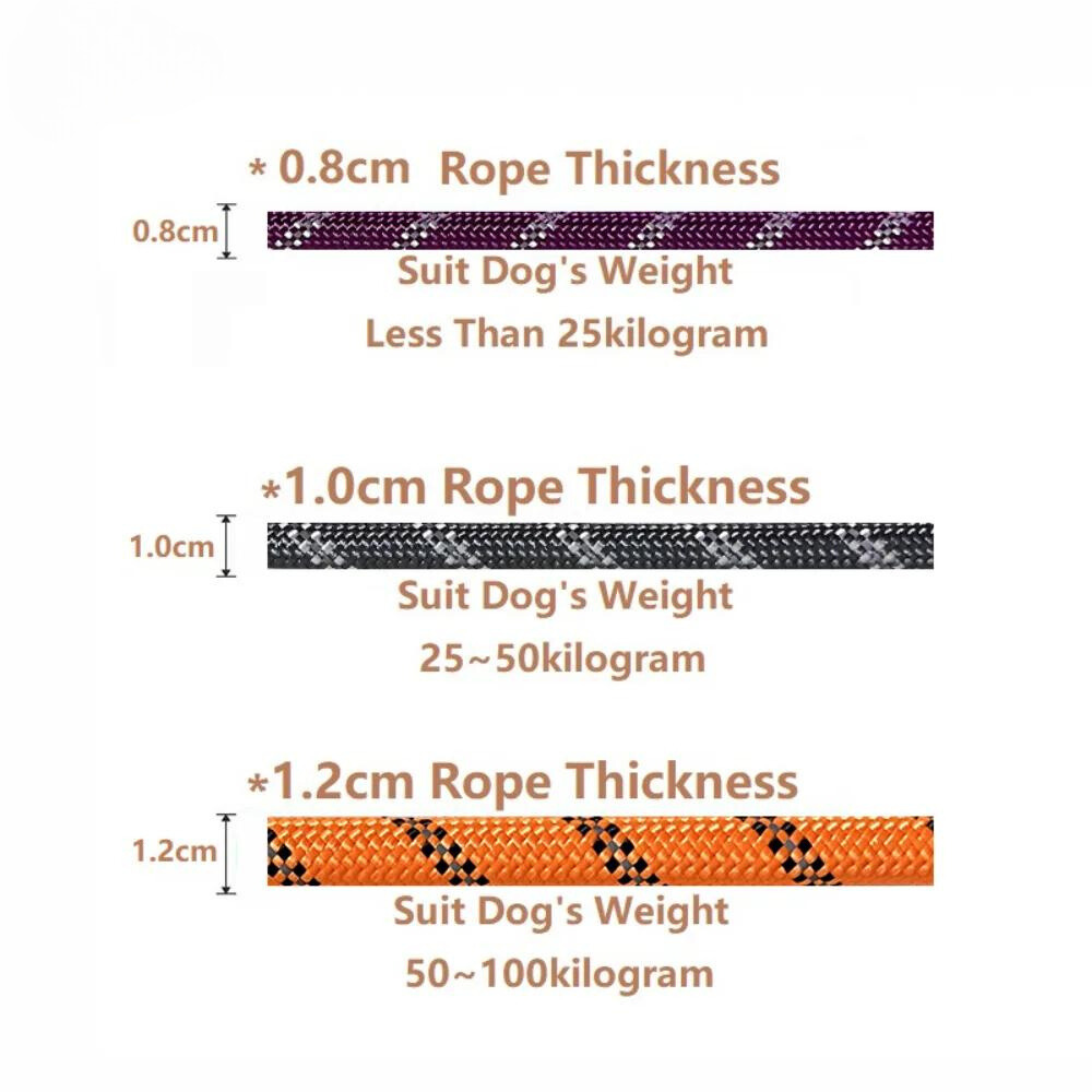 SafePaws: Durable Reflective Dog Leash with Comfort-Touch Handle