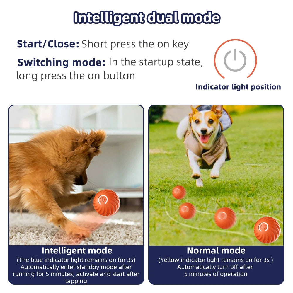 Electronic Interactive Smart Ball Pet Toy: USB-C Self Moving and Bouncing Pet Toy