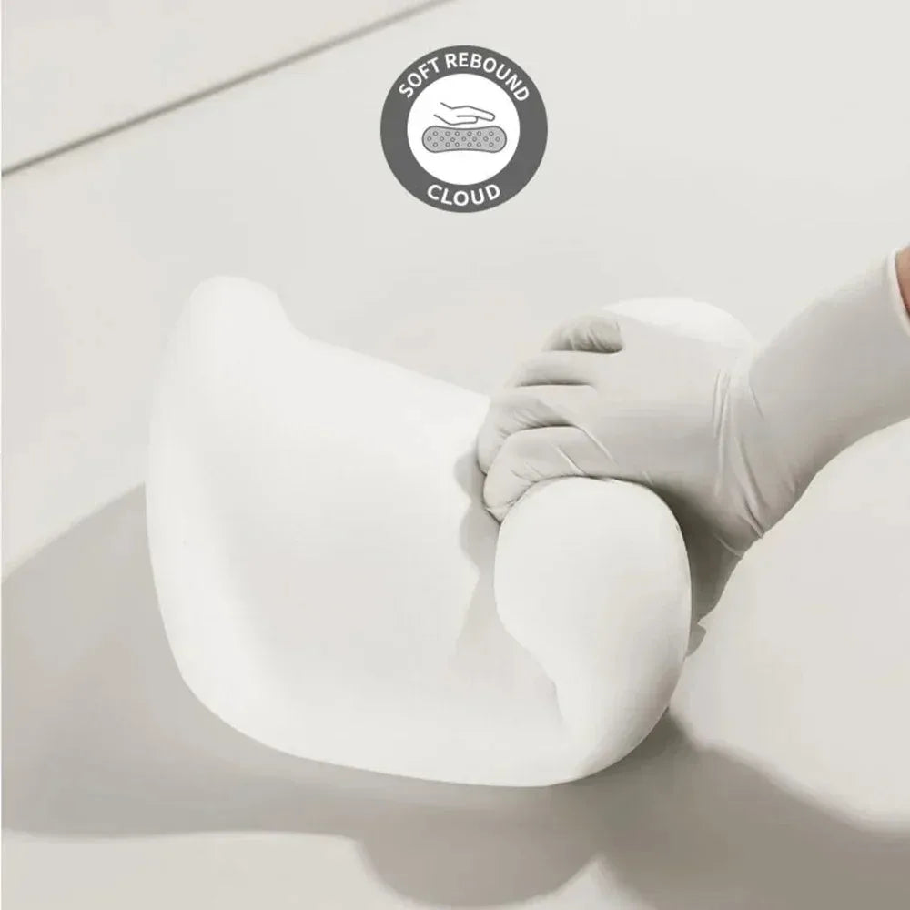 Premium Ergonomic Memory Foam Headrest & Lumbar Support