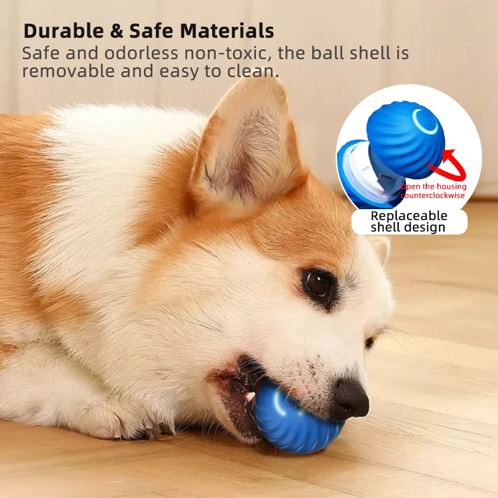 Electronic Interactive Smart Ball Pet Toy: USB-C Self Moving and Bouncing Pet Toy