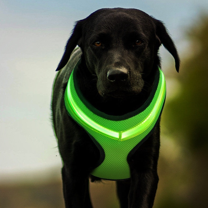 Luminous LED Dog Harness with USB Charging - Pet Safety Reflective Vest for Puppy and Large Dogs