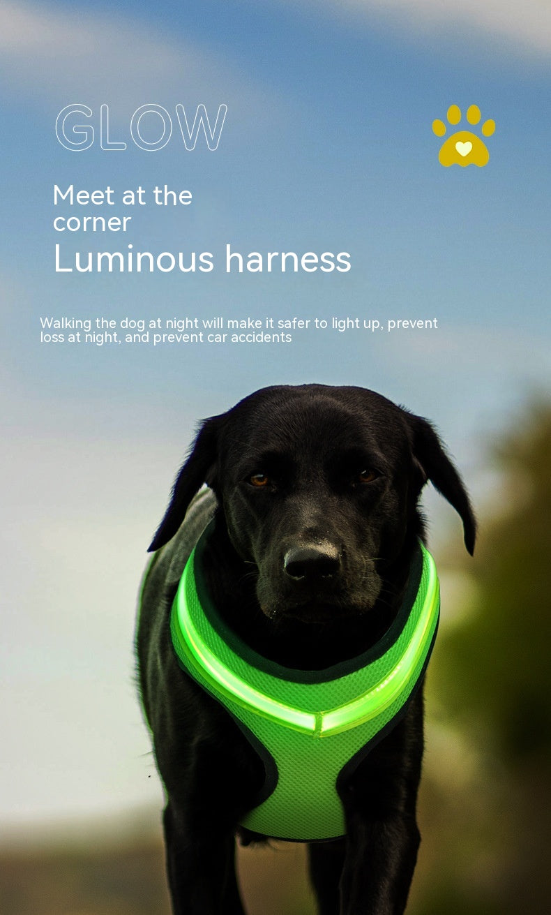 Luminous LED Dog Harness with USB Charging - Pet Safety Reflective Vest for Puppy and Large Dogs